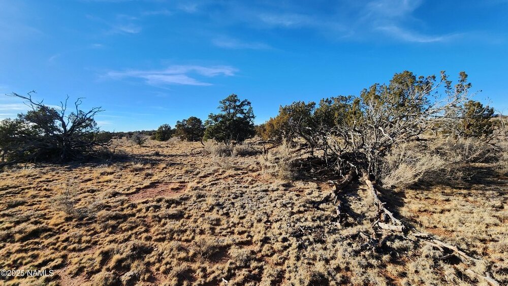 Photo of Mobile Home Lot