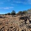 Photo of Mobile Home Lot