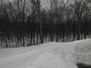 Photo of Mobile Home Lot