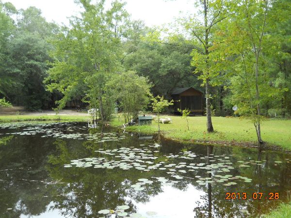 Fishing Pond with Coy and Bass