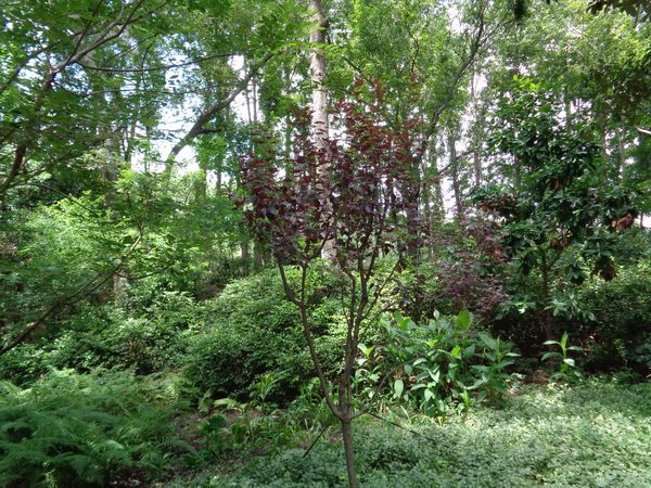 Lot 96