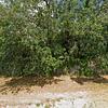 Mobile Home for Sale: 1985 Mobile Home