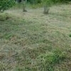 Photo of Mobile Home Lot