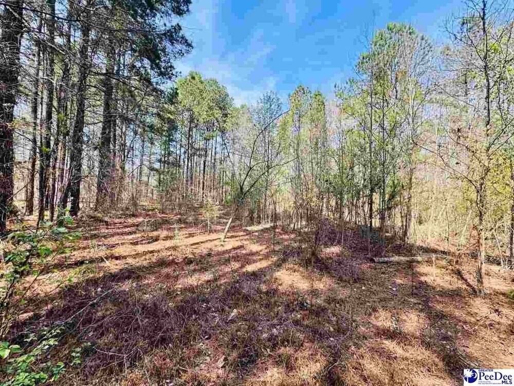 Photo of Mobile Home Lot