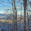 Photo of Mobile Home Lot