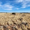 Photo of Mobile Home Lot
