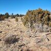 Photo of Mobile Home Lot