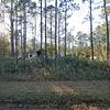 Mobile Home for Sale: Mobile Home