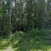 Mobile Home for Sale: 3 Bed 2 Bath 1999 Mobile Home