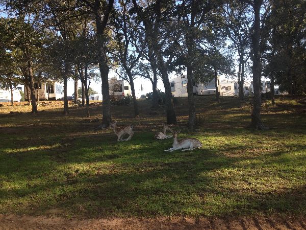 Photo of RV Park/Campground