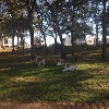 Photo of RV Park/Campground