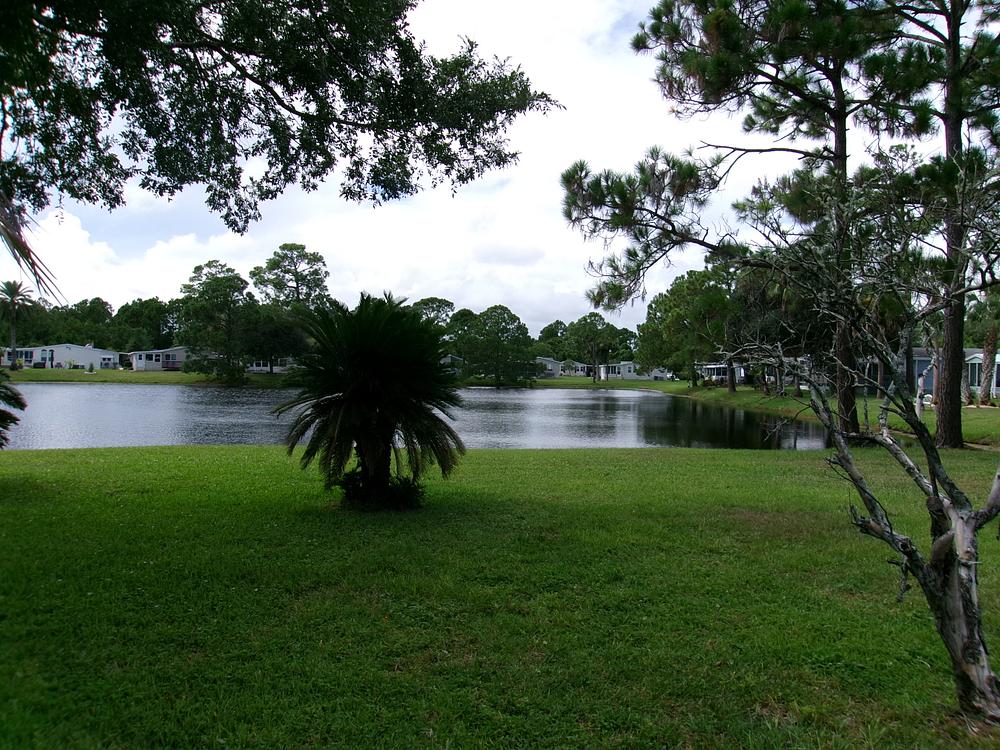 Bear Creek Village