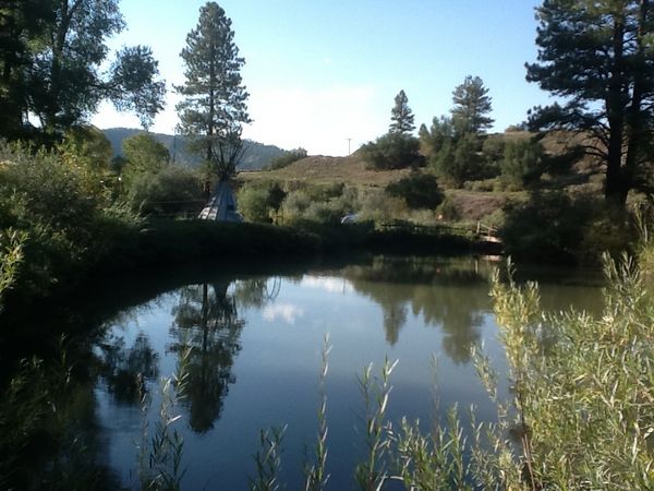 The Pond