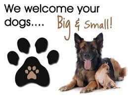 Pet Friendly