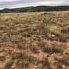 Photo of Mobile Home Lot