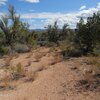 Photo of Mobile Home Lot