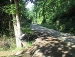 Photo of Mobile Home Lot
