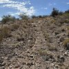 Photo of Mobile Home Lot