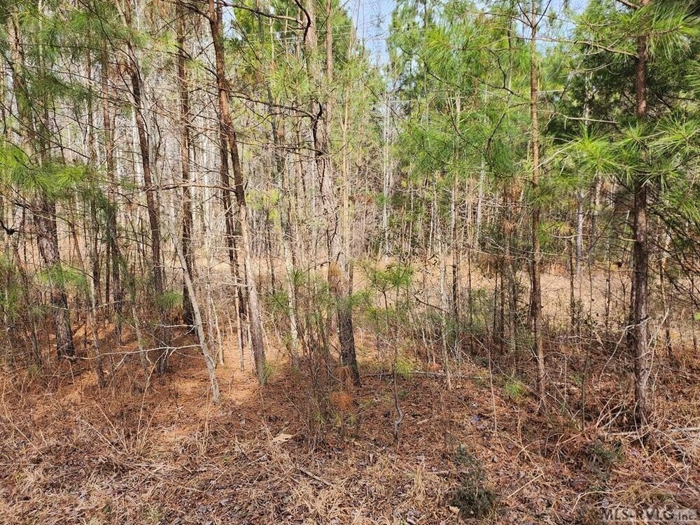Photo of Mobile Home Lot