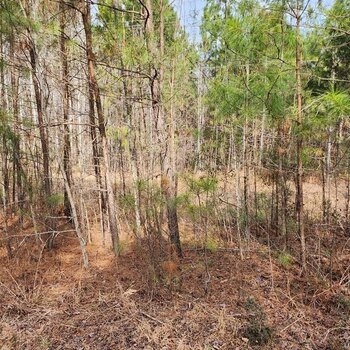 Photo of Mobile Home Lot