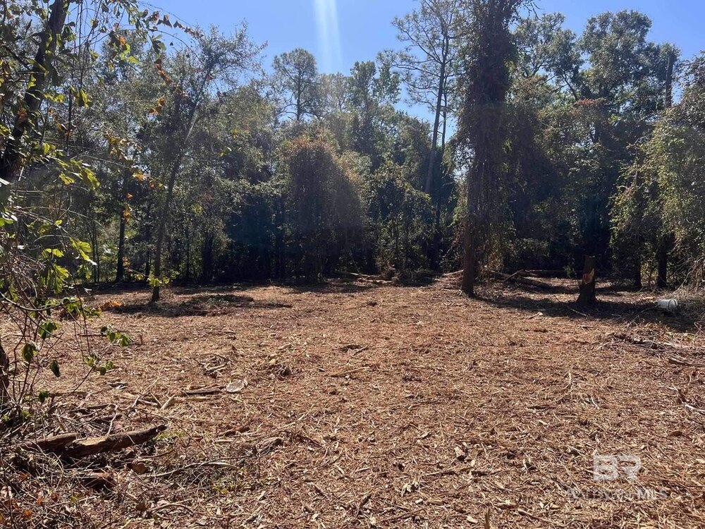 Photo of Mobile Home Lot