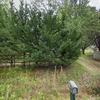 Mobile Home for Sale: 1989 Mobile Home