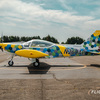 Aircraft for Sale: 1992 SIAI Marchetti SF260 D