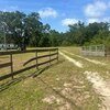 Mobile Home for Sale: Manufactured Home - BRONSON, FL, Bronson, FL