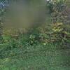 Mobile Home for Sale: 2 Bed 2 Bath 1998 Mobile Home
