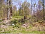 Photo of Mobile Home Lot
