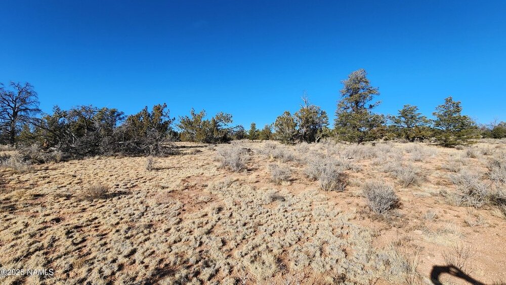 Photo of Mobile Home Lot
