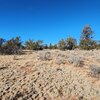 Photo of Mobile Home Lot
