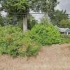 Mobile Home for Sale: 1976 Mobile Home