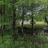 Mobile Home for Sale: 1990 Mobile Home