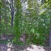 Mobile Home for Sale: 2017 Mobile Home