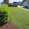 Lot 308