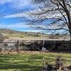 Mobile Home for Sale: Manufactured On Land, Traditional - Central Point, OR, Central Point, OR