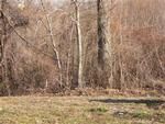 Photo of Mobile Home Lot