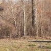 Photo of Mobile Home Lot