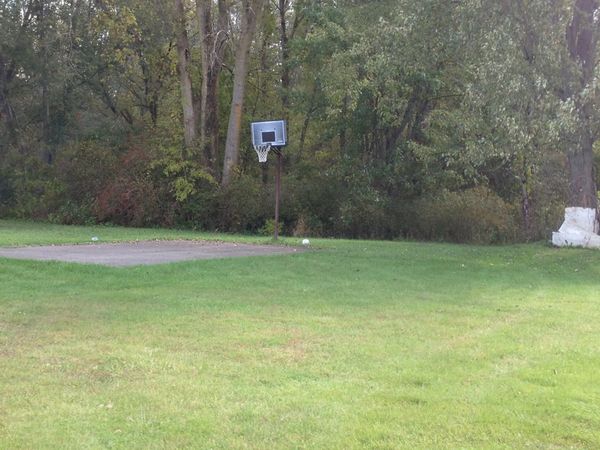 Basketball Court and Woods