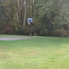 Basketball Court and Woods