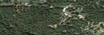 Photo of Mobile Home Lot