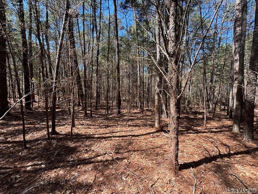 Photo of Mobile Home Lot