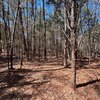 Photo of Mobile Home Lot