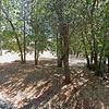 Mobile Home for Sale: 2 Bed 1 Bath 1972 Mobile Home