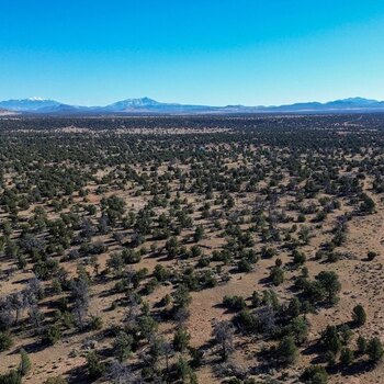 Thumbnail of mobile home lot
