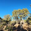 Photo of Mobile Home Lot