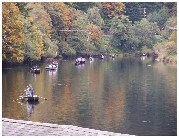 Photo of Fishing