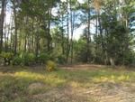 Photo of Mobile Home Lot