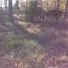 Mobile Home Lot for Sale: LA, SHREVEPORT - Land for sale., Shreveport, LA